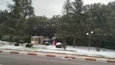 تتنفس جمالًا وهدوءًا...إفران لؤلؤة الأطلس المتوسط وسويسرا المغرب الساحرة".. فيديو