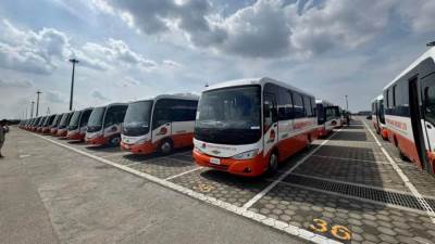 المنصور للسيارات تُصدر 100حافلة إلى غانا في أول عملية تصدير من ميناء شرق بورسعيد إلى العالم