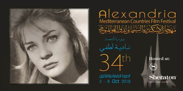 وزير النقل الدكتور إبراهيم الدميرى