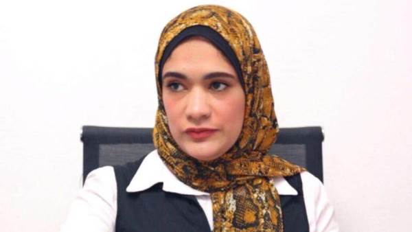 مدير مركز فاروس للدراسات